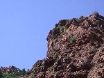 2007-0614-1553-01.jpg